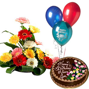 Gerberas with 2 pound Chocolate cake and 3 balloons
