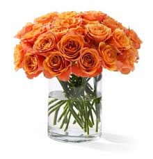 24 Orange roses vase