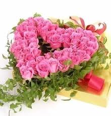 24 pink roses heart