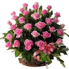 54 Pink roses in a basket