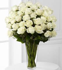 24 White roses vase