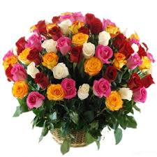 100 multi color roses basket