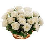 24 white roses arrangement