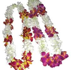orchids-garland