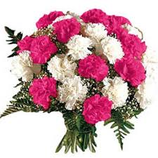 Pink white carnations bouquet