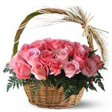 50 pink roses in a basket